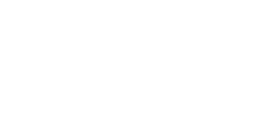 2Go Logo